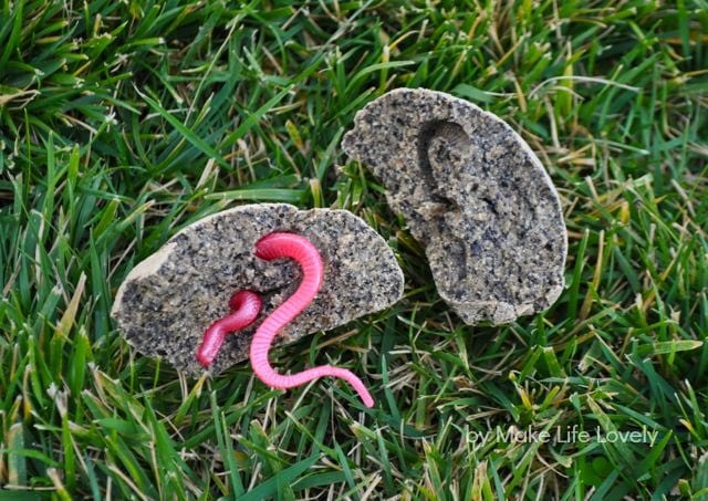 broken treasure stone with pink toy snake inside