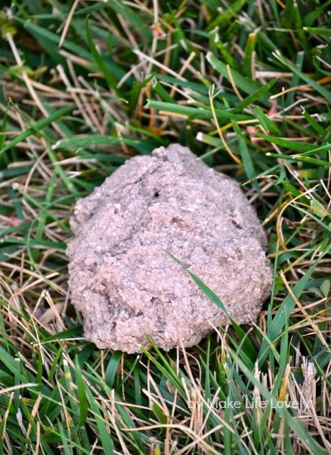 treasure stone on green grass