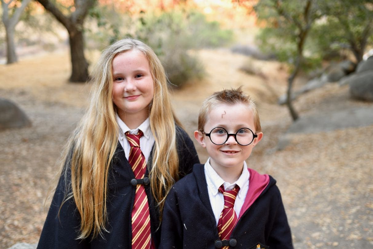 Easy Oly*Fun Harry Potter Costume w/ No-Sew Option - Fairfield